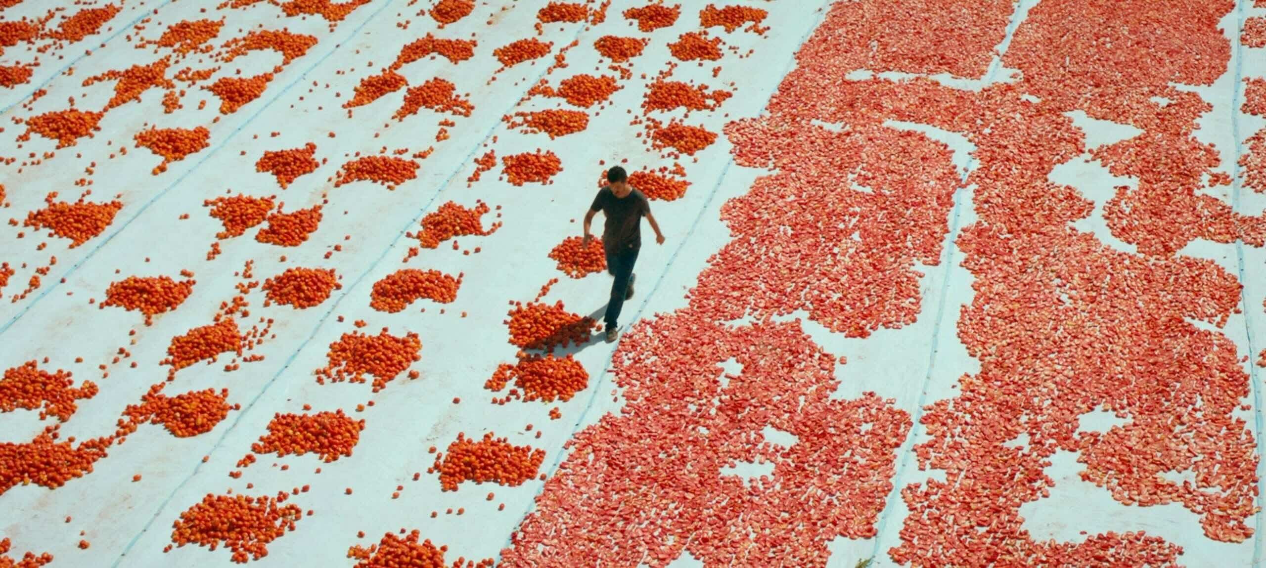 Fotograma promocional de 'El día de la muerte de Hemme', de Murat Fıratoğlu