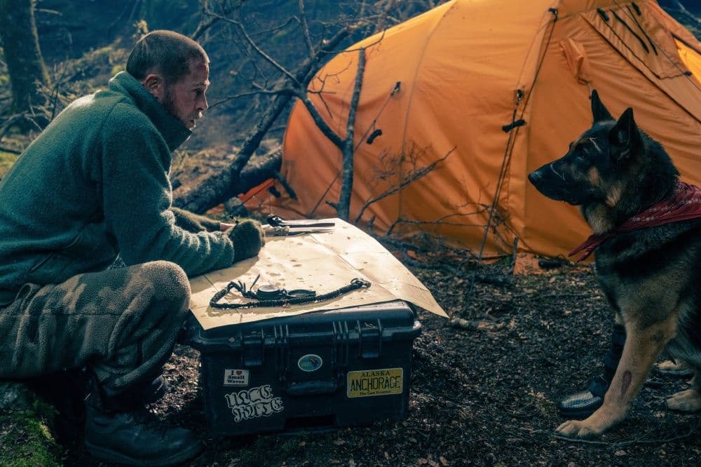 El actor Brad Pitt mira a un perro en un fotograma de la película 'En el corazón de la bestia', de David Ayer